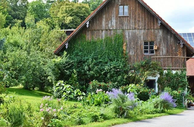 Beekeeping on a Homestead