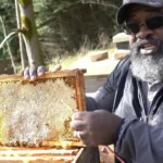 Man Showing Best Natural Beekeeping Techniques