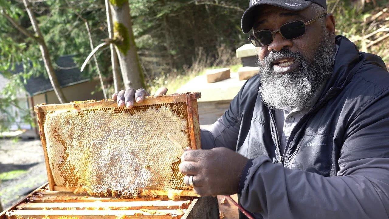 Man Showing Best Natural Beekeeping Techniques