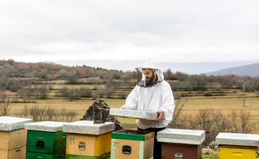 Man Checking beehives at an apiary club