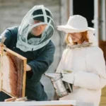 Beekeepers working with apiculture equipment